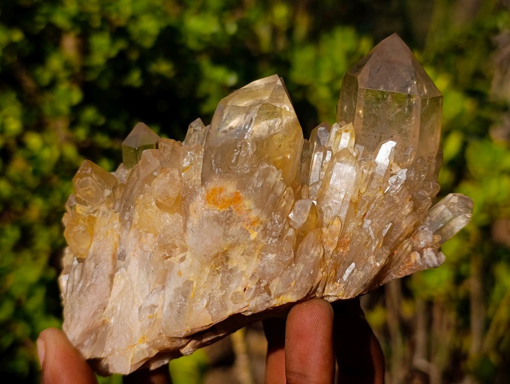 Natural Cascading Luena Citrine Crystal Cluster x 1 From Luena, Congo