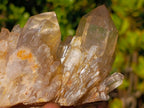 Natural Cascading Luena Citrine Crystal Cluster x 1 From Luena, Congo