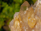 Natural Cascading Luena Citrine Crystal Cluster x 1 From Luena, Congo