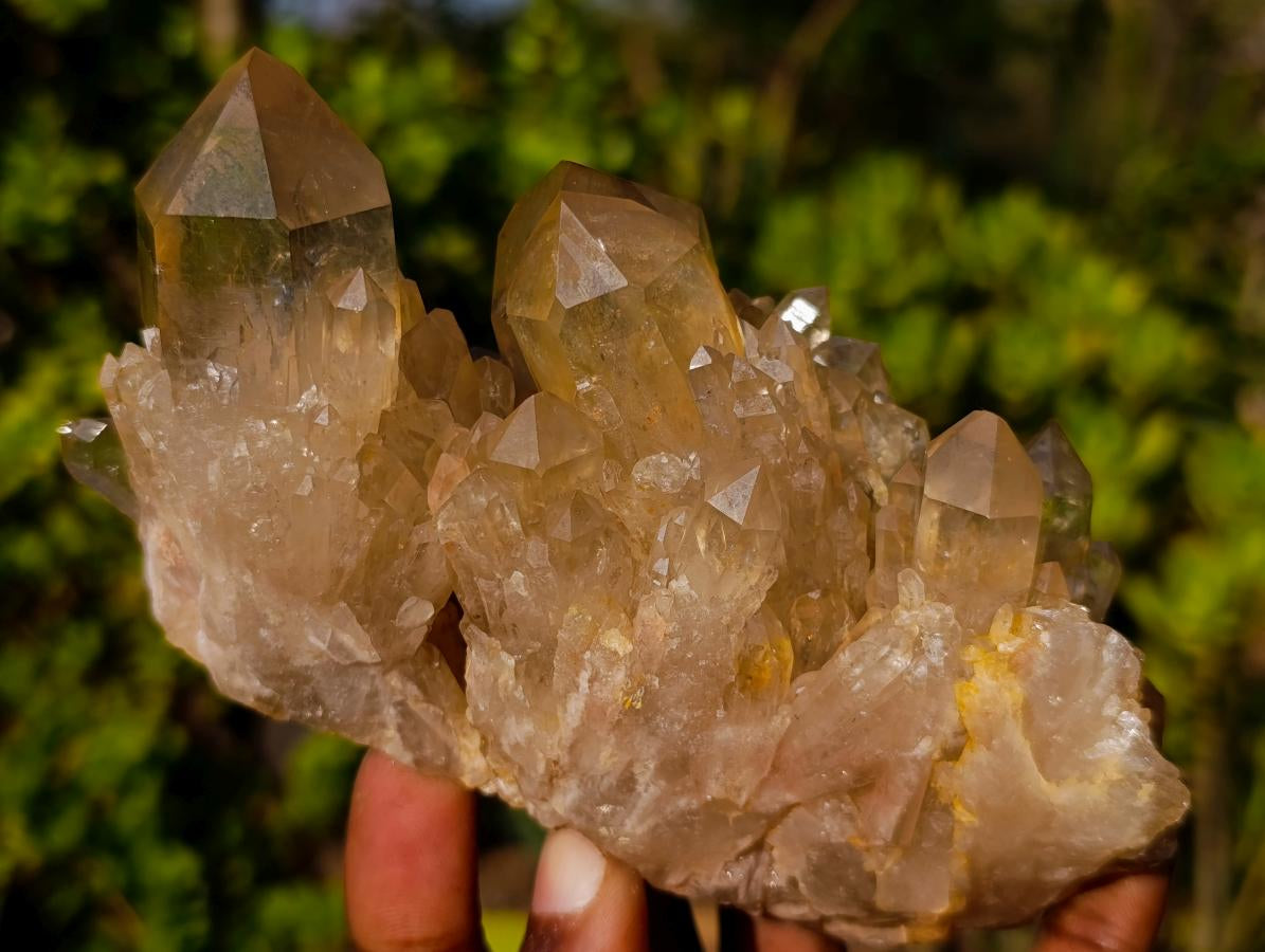 Natural Cascading Luena Citrine Crystal Cluster x 1 From Luena, Congo
