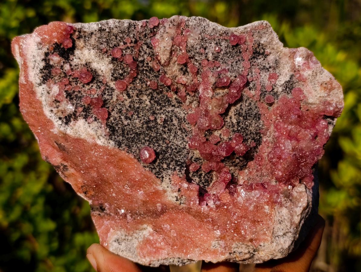 Natural Large Rare Cabinet Size Spherocobaltite Specimen x 1 From Mashamba West Mine, Congo