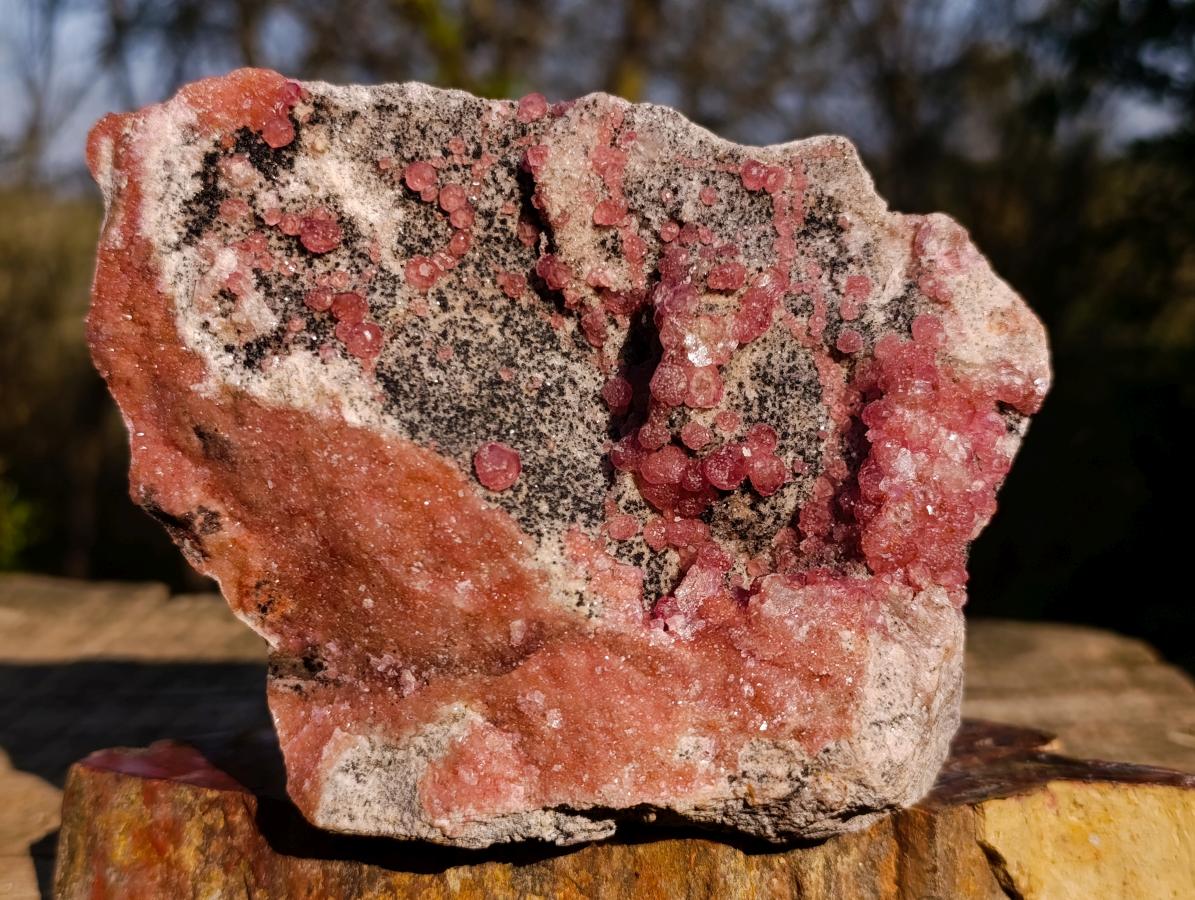 Natural Large Rare Cabinet Size Spherocobaltite Specimen x 1 From Mashamba West Mine, Congo
