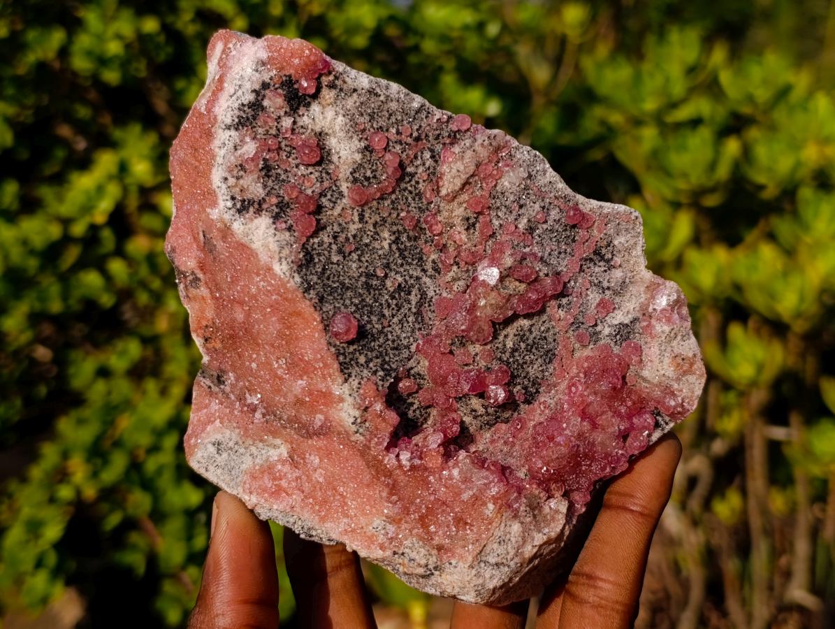Natural Large Rare Cabinet Size Spherocobaltite Specimen x 1 From Mashamba West Mine, Congo