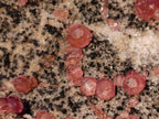 Natural Large Rare Cabinet Size Spherocobaltite Specimen x 1 From Mashamba West Mine, Congo