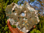 Polished One Side Large Mtorolite Emerald Chrysoprase Slice x 1 From Mutorashanga, Zimbabwe