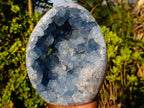 Polished and Natural Exceptional Blue Celestite Display Geode x 1 From Sakoany Madagascar
