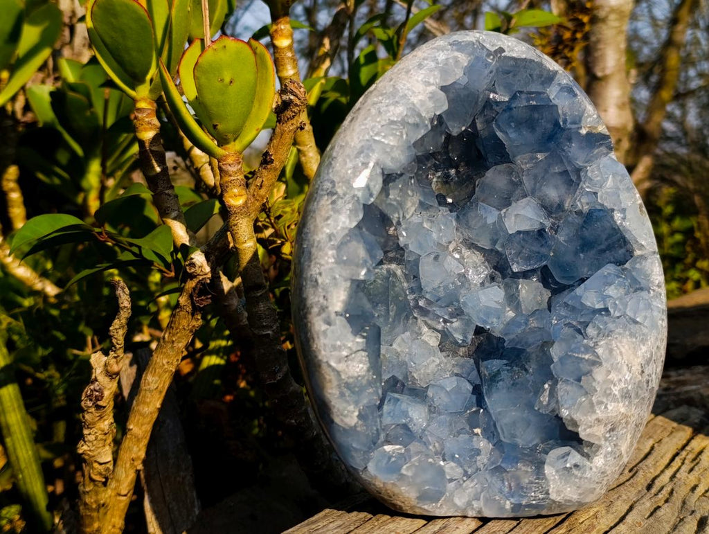 Polished and Natural Exceptional Blue Celestite Display Geode x 1 From Sakoany Madagascar