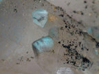 Natural Super Rare Twin Ajoite Crystal Specimen x 1 From Messina Mine, South Africa