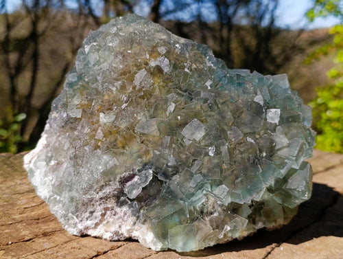 Natural Large Okorusu Green Cubic Fluorite Specimen x 1 From Okorusu, Namibia