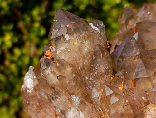 Natural Beautiful Large Luena Smokey Citrine Crystal Cluster x 1 From Luena, Congo