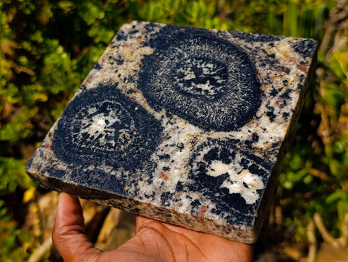 Polished Gneiss Schorl Black Tourmaline Coffee Cup Desk Plate x 1 From Erongo, Namibia