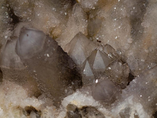 Natural Drusy Cactus Smokey Spirit Quartz Crystal Cluster x 1 From Boekenhouthoek, South Africa