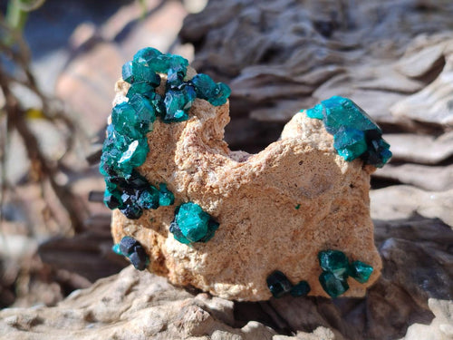 Polished and Natural Mixed Set of 6 African Minerals and Fossil in a Wooden Display Box x 1 From Southern Africa