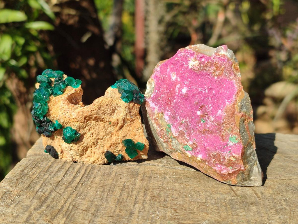 Polished and Natural Mixed Set of 6 African Minerals and Fossil in a Wooden Display Box x 1 From Southern Africa