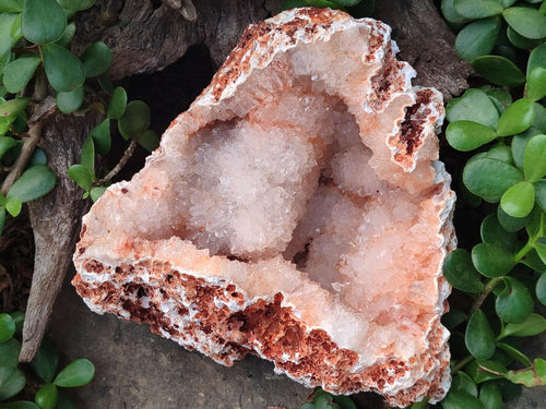 Natural Maintirano Agate Geode with Coral Agate Husk on Outer Rim x 1 From Maintirano, Madagascar
