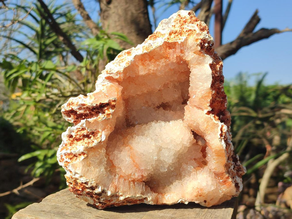 Natural Maintirano Agate Geode with Coral Agate Husk on Outer Rim x 1 From Maintirano, Madagascar