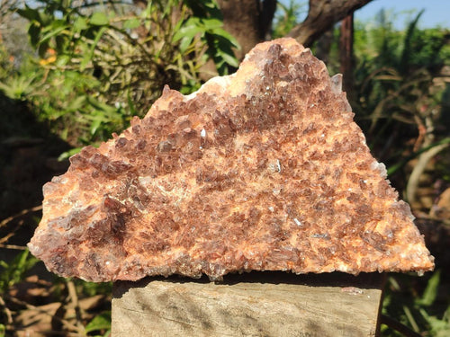 Natural Double Sided Hematoid Quartz Cluster with Phantoms All Over x 1 From Orange River, South Africa