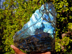 Polished One Side Bright Blue Labradorite Standing Display Piece x 1 From Tulear, Madagascar