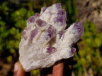 Natural Zambian Sugar Amethyst Phantom Crystal Cluster x 1 From Solwezi, Zambia