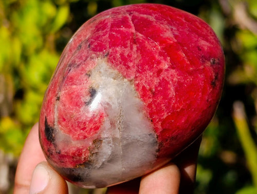 Polished Rare Red Rhodesian Rhodonite Free Form x 1 From Rhusinga, Zimbabwe