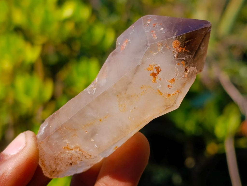 Polished and Natural Mix Set of 12 African Minerals Crystals and Fossil in a Wooden Display Box x 1 From Southern Africa