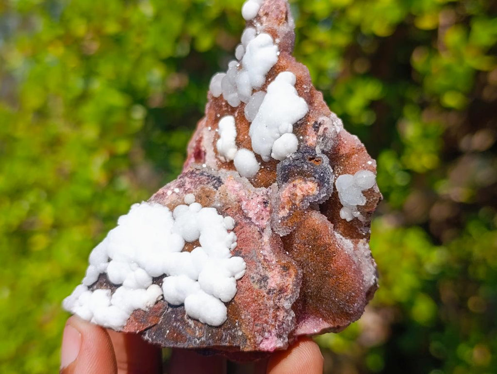 Natural Pink Salrose Cobaltoan Dolomite Specimen with Kaolinite Spheroids x 1 From Kakanda, Congo