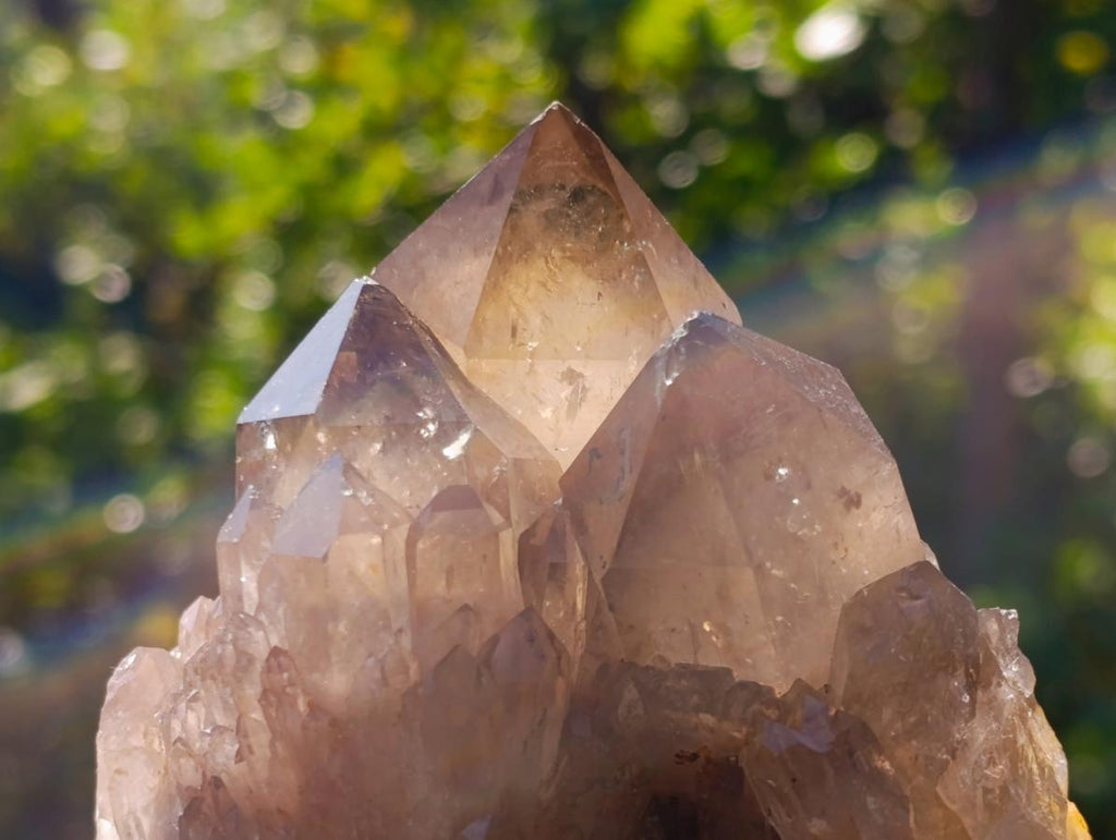 Natural White Phantom Centred Cascading Smokey Citrine Crystal Cluster x 1 From Luena, Congo