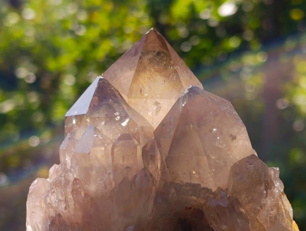 Natural White Phantom Centred Cascading Smokey Citrine Crystal Cluster x 1 From Luena, Congo