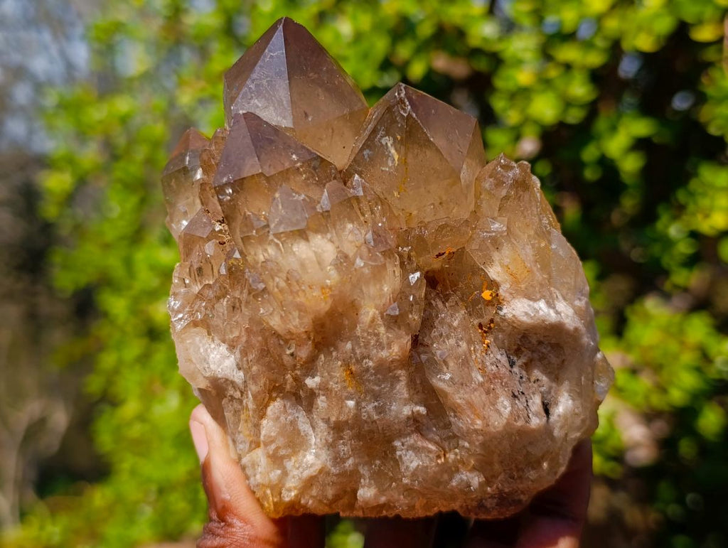 Natural White Phantom Centred Cascading Smokey Citrine Crystal Cluster x 1 From Luena, Congo