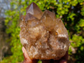 Natural White Phantom Centred Cascading Smokey Citrine Crystal Cluster x 1 From Luena, Congo
