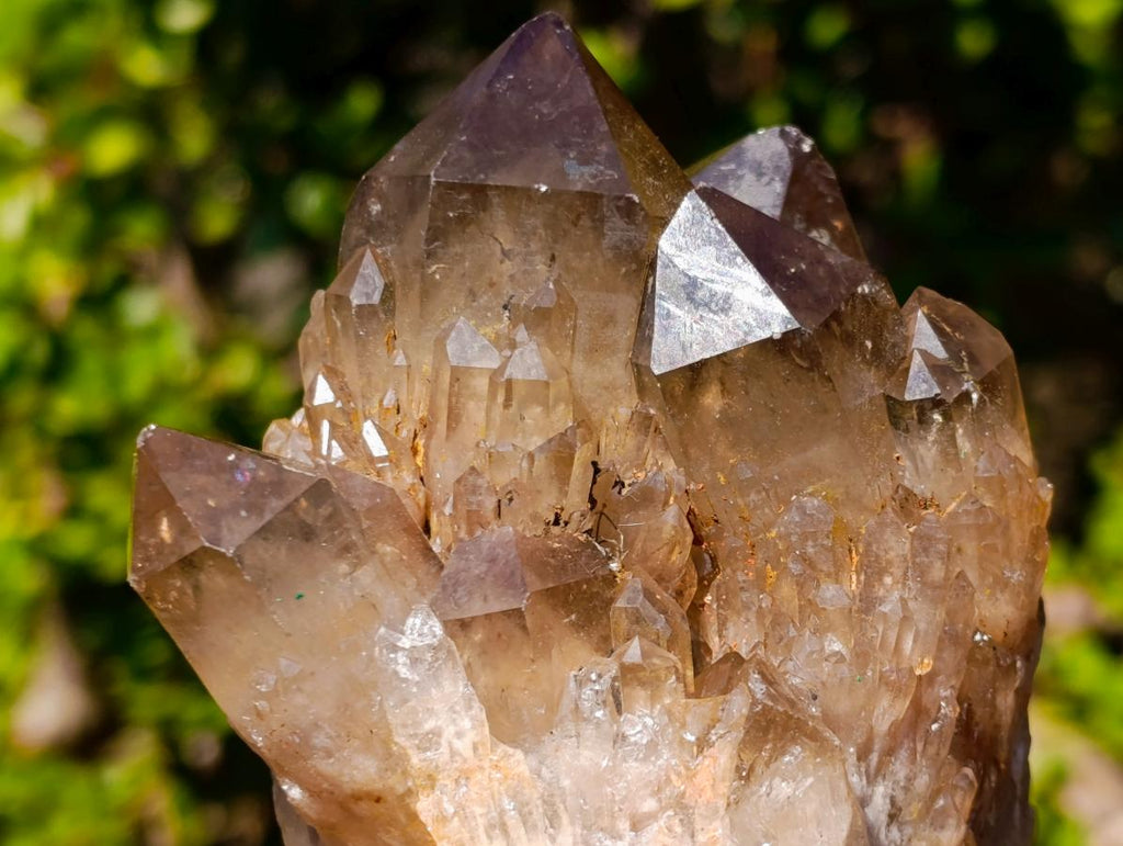 Natural White Phantom Centred Cascading Smokey Citrine Crystal Cluster x 1 From Luena, Congo