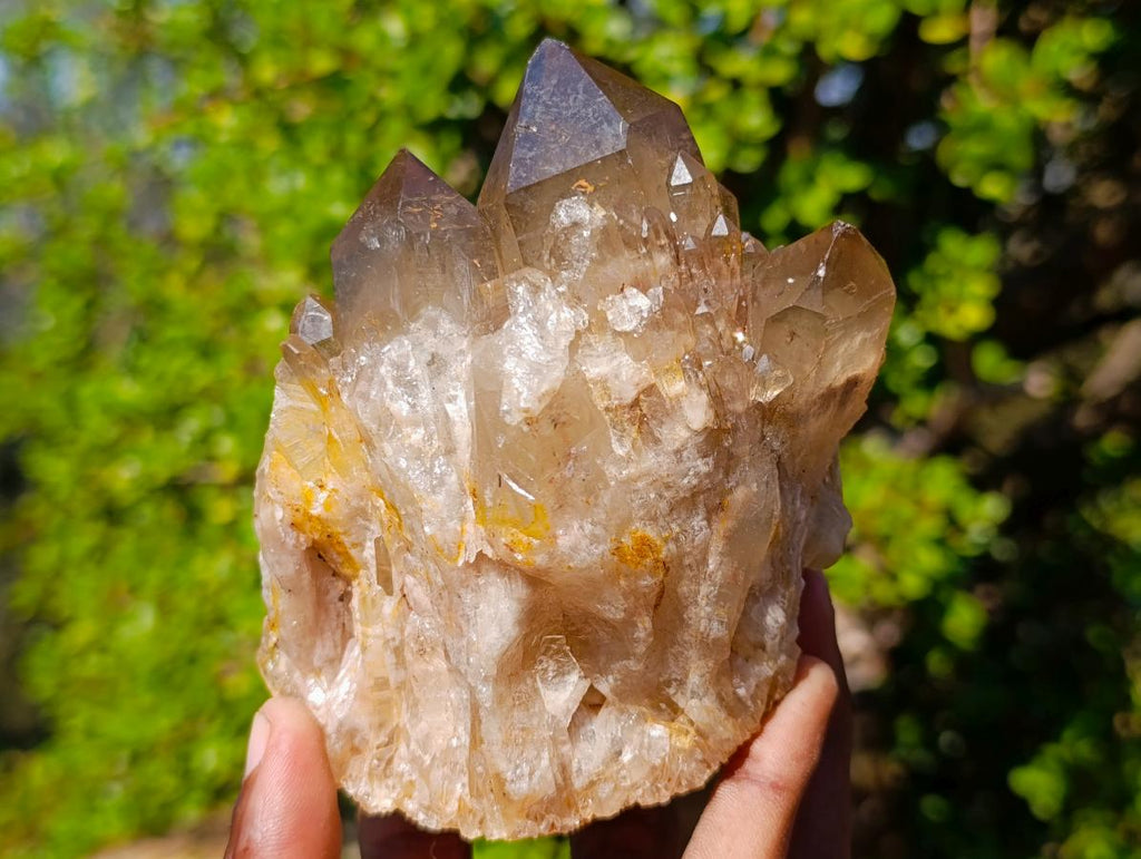 Natural White Phantom Centred Cascading Smokey Citrine Crystal Cluster x 1 From Luena, Congo
