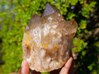 Natural White Phantom Centred Cascading Smokey Citrine Crystal Cluster x 1 From Luena, Congo