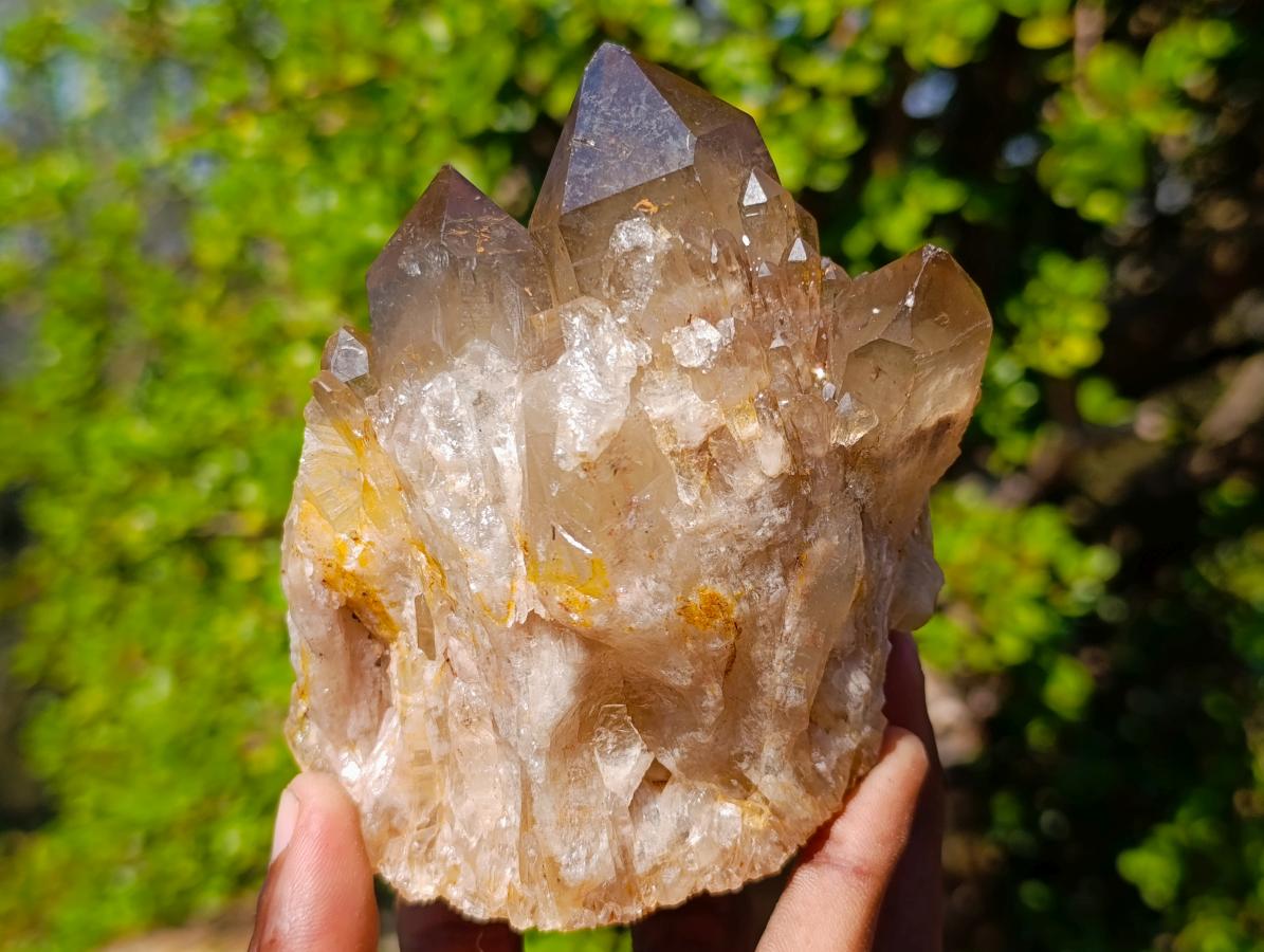 Natural White Phantom Centred Cascading Smokey Citrine Crystal Cluster x 1 From Luena, Congo