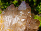 Natural White Phantom Centred Cascading Smokey Citrine Crystal Cluster x 1 From Luena, Congo