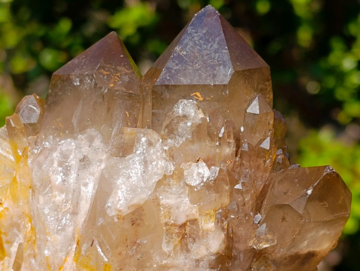 Natural White Phantom Centred Cascading Smokey Citrine Crystal Cluster x 1 From Luena, Congo