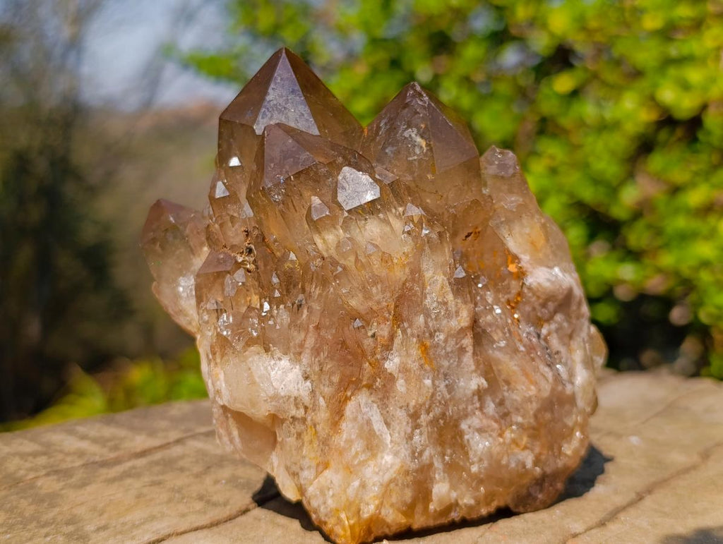 Natural White Phantom Centred Cascading Smokey Citrine Crystal Cluster x 1 From Luena, Congo