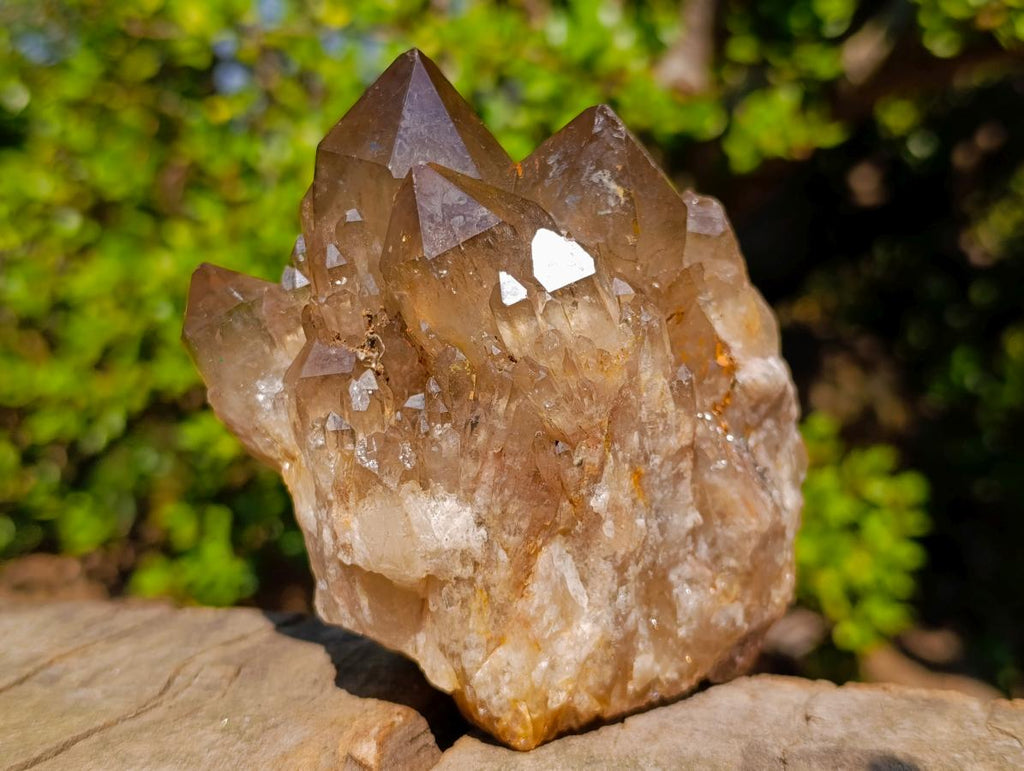 Natural White Phantom Centred Cascading Smokey Citrine Crystal Cluster x 1 From Luena, Congo