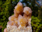 Natural Sparkling Spirit Ametrine Crystal Cluster x 1 From Boekenhouthoek, South Africa