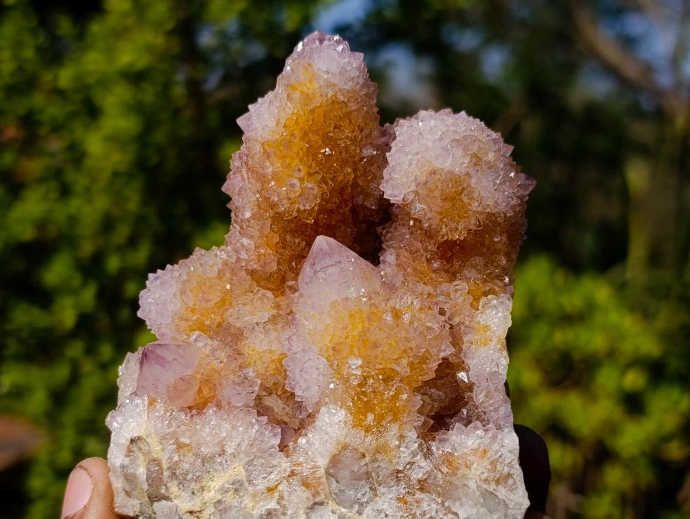 Natural Sparkling Spirit Ametrine Crystal Cluster x 1 From Boekenhouthoek, South Africa