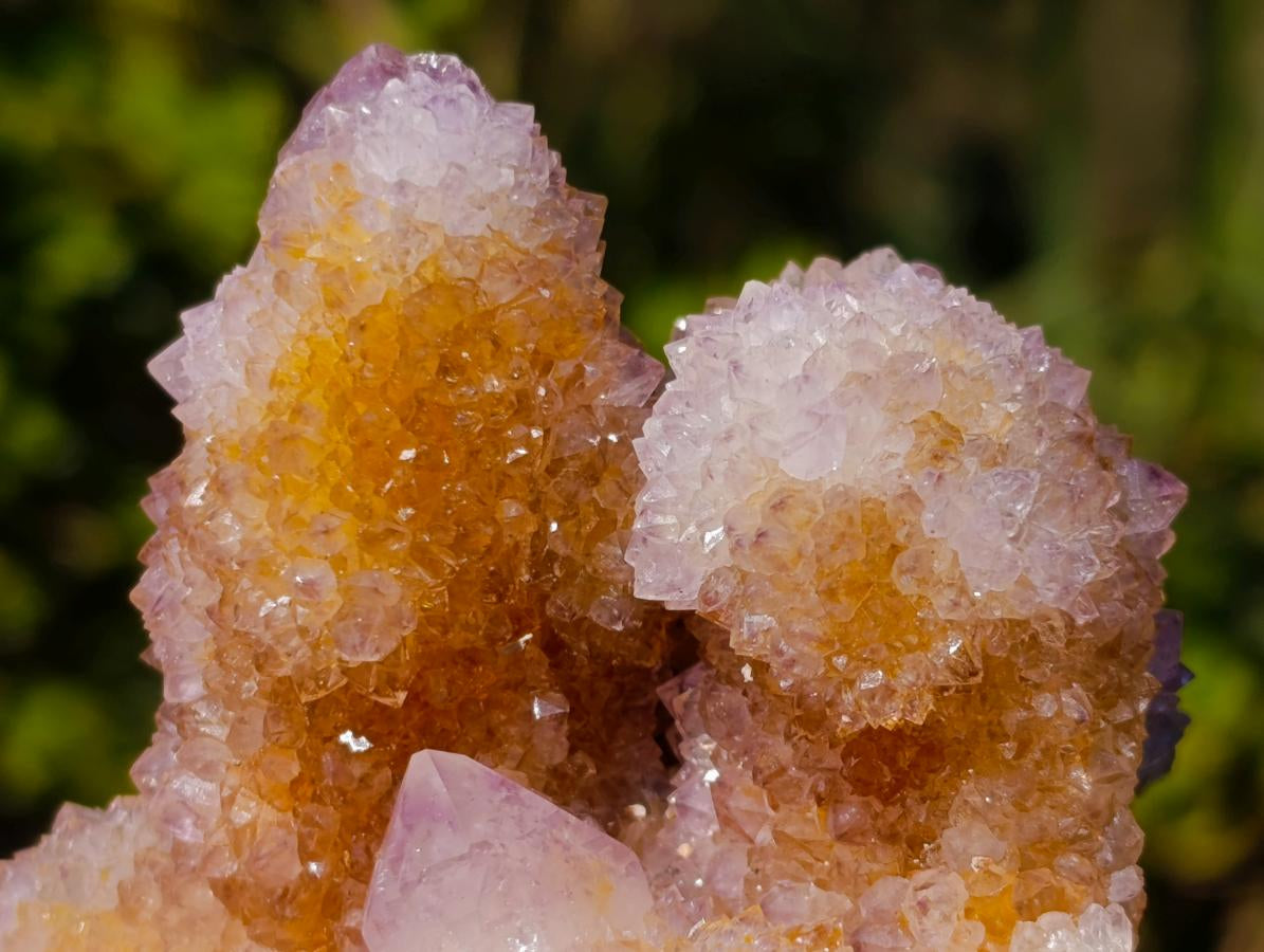 Natural Sparkling Spirit Ametrine Crystal Cluster x 1 From Boekenhouthoek, South Africa