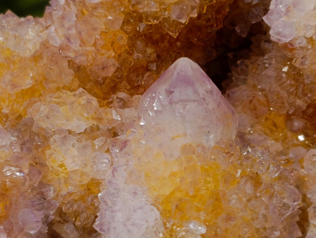 Natural Sparkling Spirit Ametrine Crystal Cluster x 1 From Boekenhouthoek, South Africa