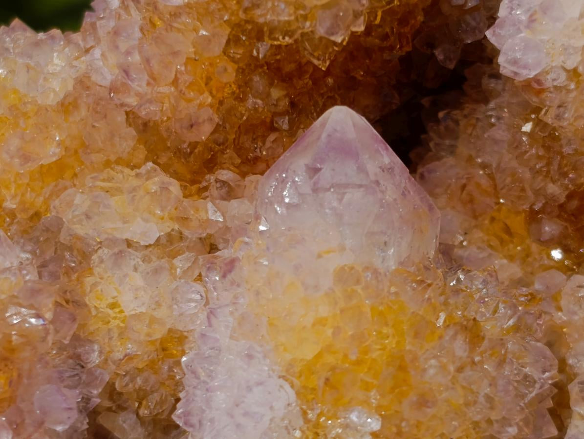 Natural Sparkling Spirit Ametrine Crystal Cluster x 1 From Boekenhouthoek, South Africa