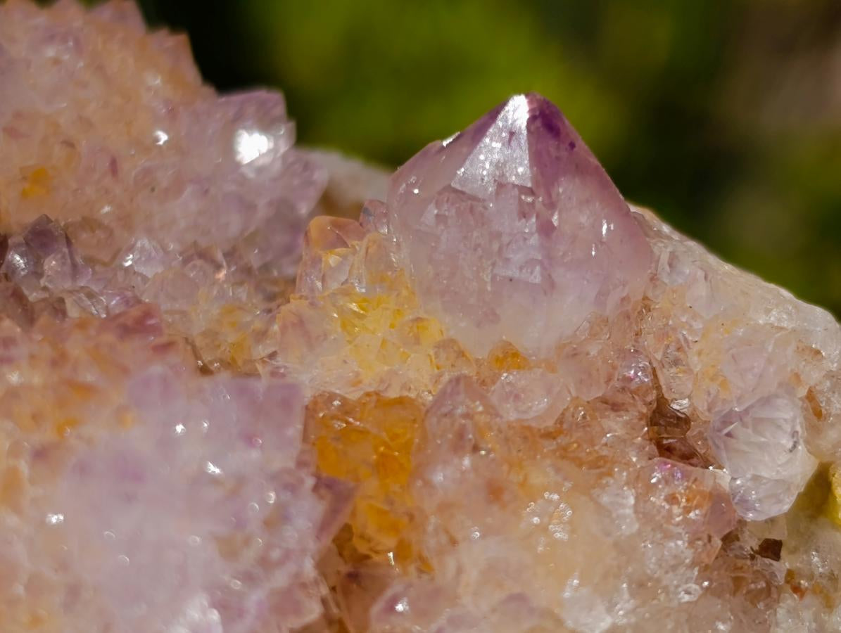 Natural Sparkling Spirit Ametrine Crystal Cluster x 1 From Boekenhouthoek, South Africa