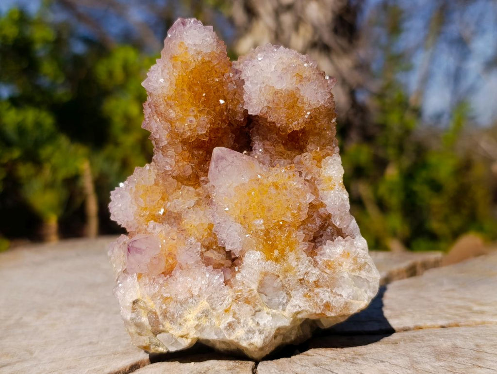 Natural Sparkling Spirit Ametrine Crystal Cluster x 1 From Boekenhouthoek, South Africa