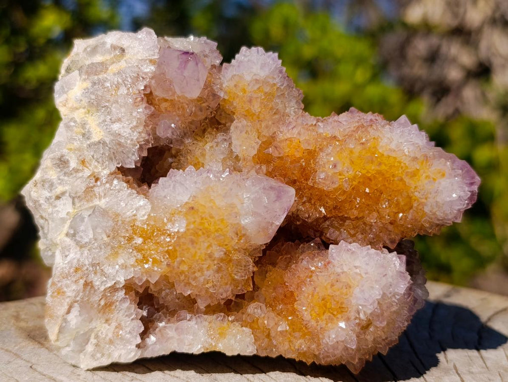 Natural Sparkling Spirit Ametrine Crystal Cluster x 1 From Boekenhouthoek, South Africa