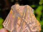 Natural Mix Set of 20 African Specimens in a Wooden Display Box x 1 From Southern Africa
