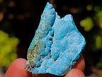 Natural Mix Set of 20 African Specimens in a Wooden Display Box x 1 From Southern Africa