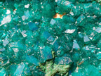 Natural Gorgeous Large Dioptase Specimen on a Dolomite Matrix x 1 From Mashamba East, Congo