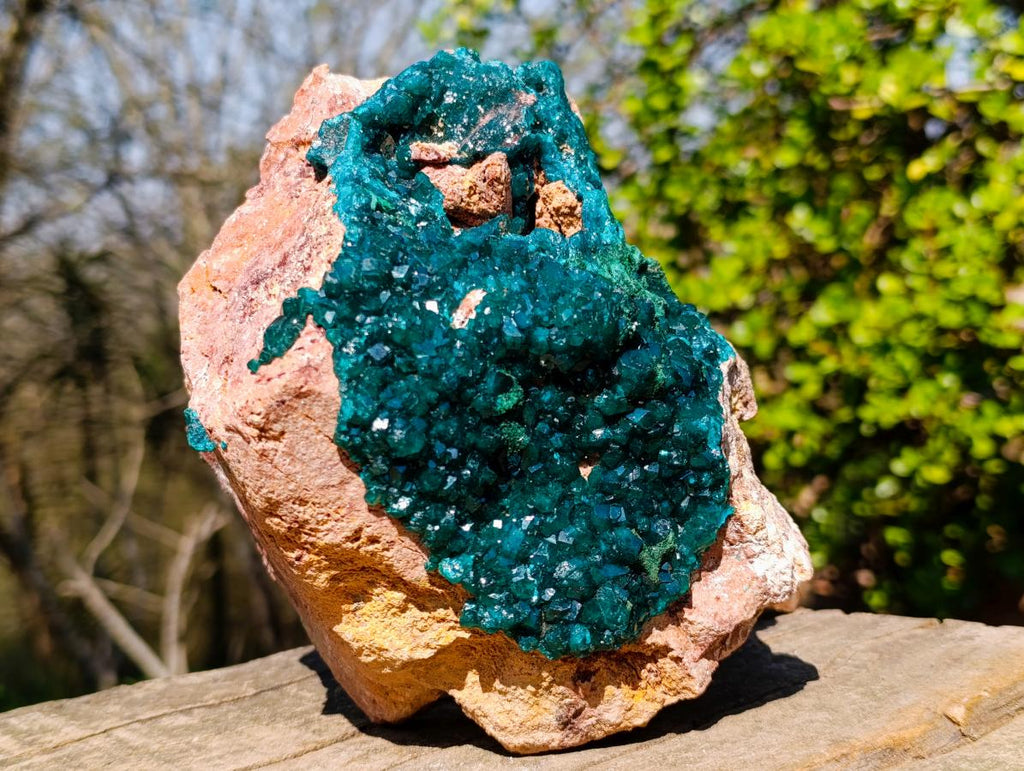 Natural Gorgeous Large Dioptase Specimen on a Dolomite Matrix x 1 From Mashamba East, Congo